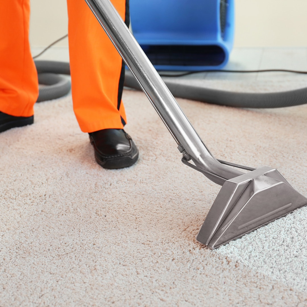 Laminate Floor Cleaning - JDog Carpet Cleaning & Floor Care