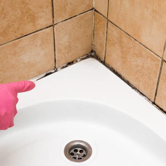 Hand In Rubber Protective Glove Pointing To The Mold In The Shower Cabin Corner Problems And Solutions Concept Stockpack Adobe Stock 540x540 