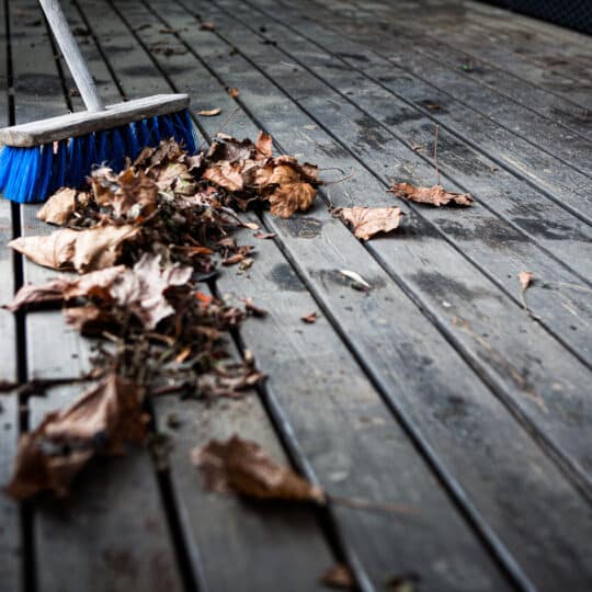 How Leaves Damage a Patio